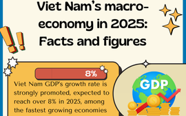 Infographics: Viet Nam’s macro-economy in 2025: Facts and figures