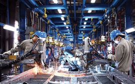 Ha Noi’s IIP rises 7% during Jan-Nov