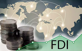 Realized FDI in January-November reaches five-year high