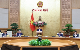 Viet Nam's sovereign wealth fund to be established this month: Prime Minister