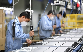Viet Nam experiences steady growth in global supply chains-related employment