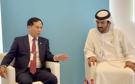 VN, UAE urged to early ratify CEPA in Q1, 2025