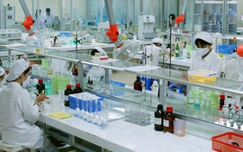 Chemical pharmaceutical industry development program ratified