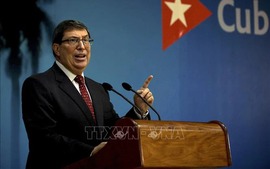 Top Cuban diplomat starts official visit to Viet Nam