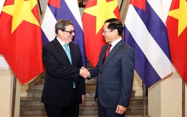 Deputy PM, Foreign Minister Bui Thanh Son holds talks with Cuban Foreign Minister