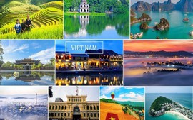 Int’l search volume for Viet Nam's tourism sharply increases: Google Destination Insights