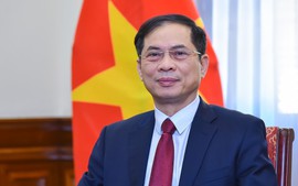 Viet Nam, Hungary, Romania mark 75th anniversary of diplomatic ties