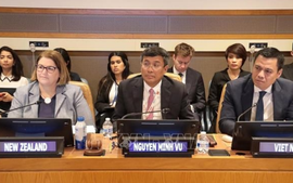 Viet Nam nominated as Chair of 35th meeting of State Parties to UNCLOS