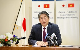 Japan aims to strengthen ties with Viet Nam in emerging sectors