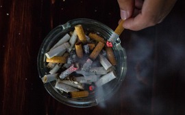 Viet Nam should seize historic opportunity to curb tobacco harm and to support economic growth, says WHO