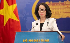 Viet Nam repatriates over 450 citizens from Myanmar