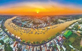 Mekong Delta’s trade volume up nearly 14% in four months