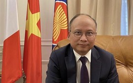 Emmanuel Macron' State visit to Viet Nam aims to expand bilateral ties