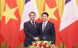 Vietnamese, French Presidents hold talks in Ha Noi