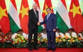 Viet Nam, Hungary strive to raise two-way trade to US$2 billion
