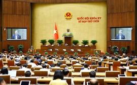 National Assembly sets up Committee to draft amendments and supplements to Constitution