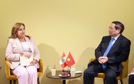 Viet Nam among Peru's most important partners in Southeast Asia: Peruvian President
