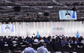 Viet Nam among first countries to sign High Seas Treaty