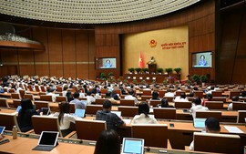 Legislators approve Resolution on reorganization of localities