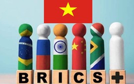 Viet Nam officially becomes BRICS partner country