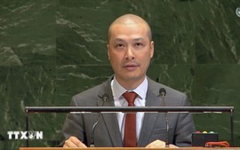 Viet Nam calls for urgent global action to resolve Gaza crisis