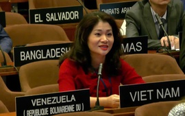 Viet Nam elected to UNESCO culture diversity committee for third time