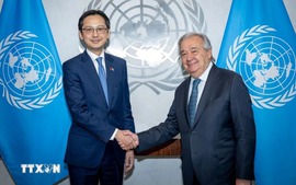 Ambassador Do Hung Viet presents Credentials to UN Secretary-General
