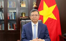 Ambassador highlights significance of Prime Minister’s attendance at WEF Tianjin Meeting