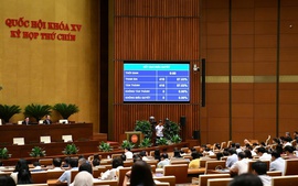 Legislators approve revised Law on Vietnamese Nationality