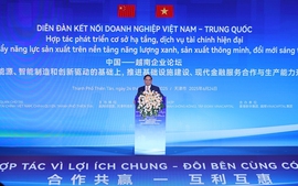 Prime Minister attends Viet Nam–China Business Connectivity Forum in Tianjin