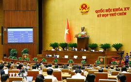 Viet Nam sets up National Election Council