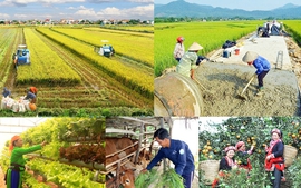 Central Steering Committee for national target programs in 2021-2025 established
