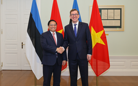 Viet Nam seeks Estonina's experience in e-government development