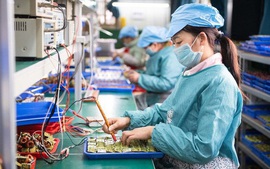 Over 15.000 new firms make debut in May
