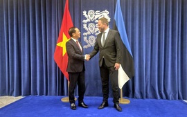 Viet Nam, Estonia agree to soon implement political consultation mechanism