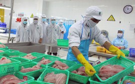 Regional minimum wage may increase by 7.2% from 2026