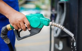 Finance ministry proposes extension of fuel environmental tax cut until next year's end
