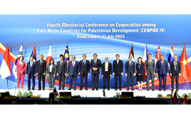 Viet Nam to provide additional US$350,000 in humanitarian aid for Palestine
