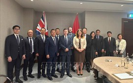 Viet Nam, UK to boost economic, trade ties