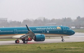 Typhoon Wipha disrupts flights across Viet Nam