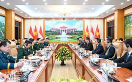 Vietnamese, Singaporean defense ministers hold talks in Ha Noi