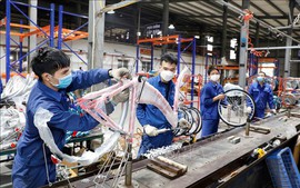ADB: Viet Nam to remain resilient in 2025–2026 despite global uncertainties