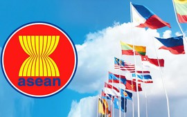 Viet Nam upholds solidarity, responsibility during 30-year ASEAN membership