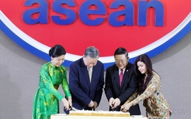 Viet Nam plays vital role in shaping ASEAN’s Future
