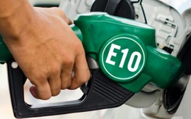 Viet Nam to pilot E10 biofuel sales in three major cities