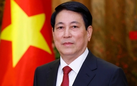 State President Luong Cuong to pay State visits to Egypt and Angola