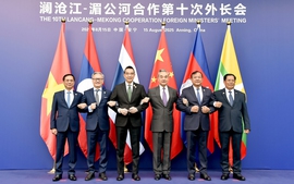 Viet Nam vows to join hands with Mekong countries to build peaceful and prosperous future