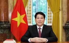 President sends message celebrating 80 years of the UN