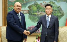 WHO commends Viet Nam’s efforts and achievements in healthcare