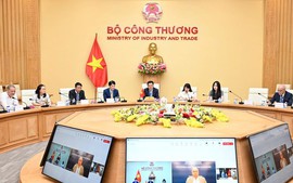 Brazil backs Viet Nam-MERCOSUR FTA negotiations